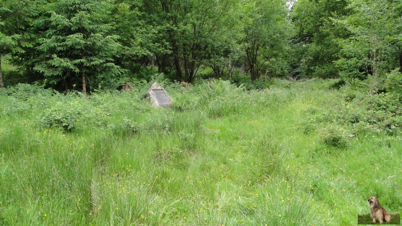 Ritterstein Nr. 186-10 R. Geiskopferhof.JPG - Ritterstein Nr.186 R. Geiskopferhof